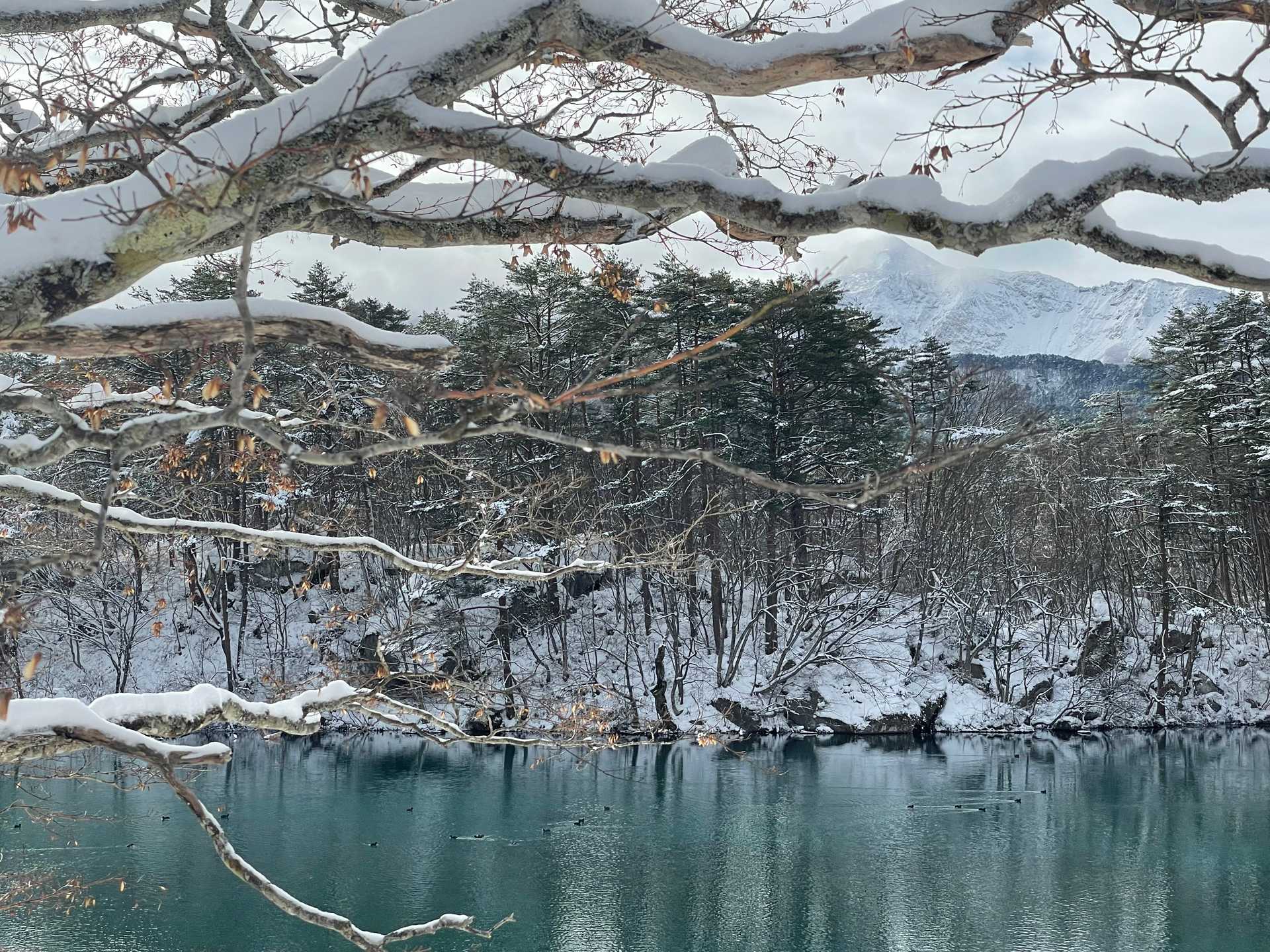 Winter in Japan