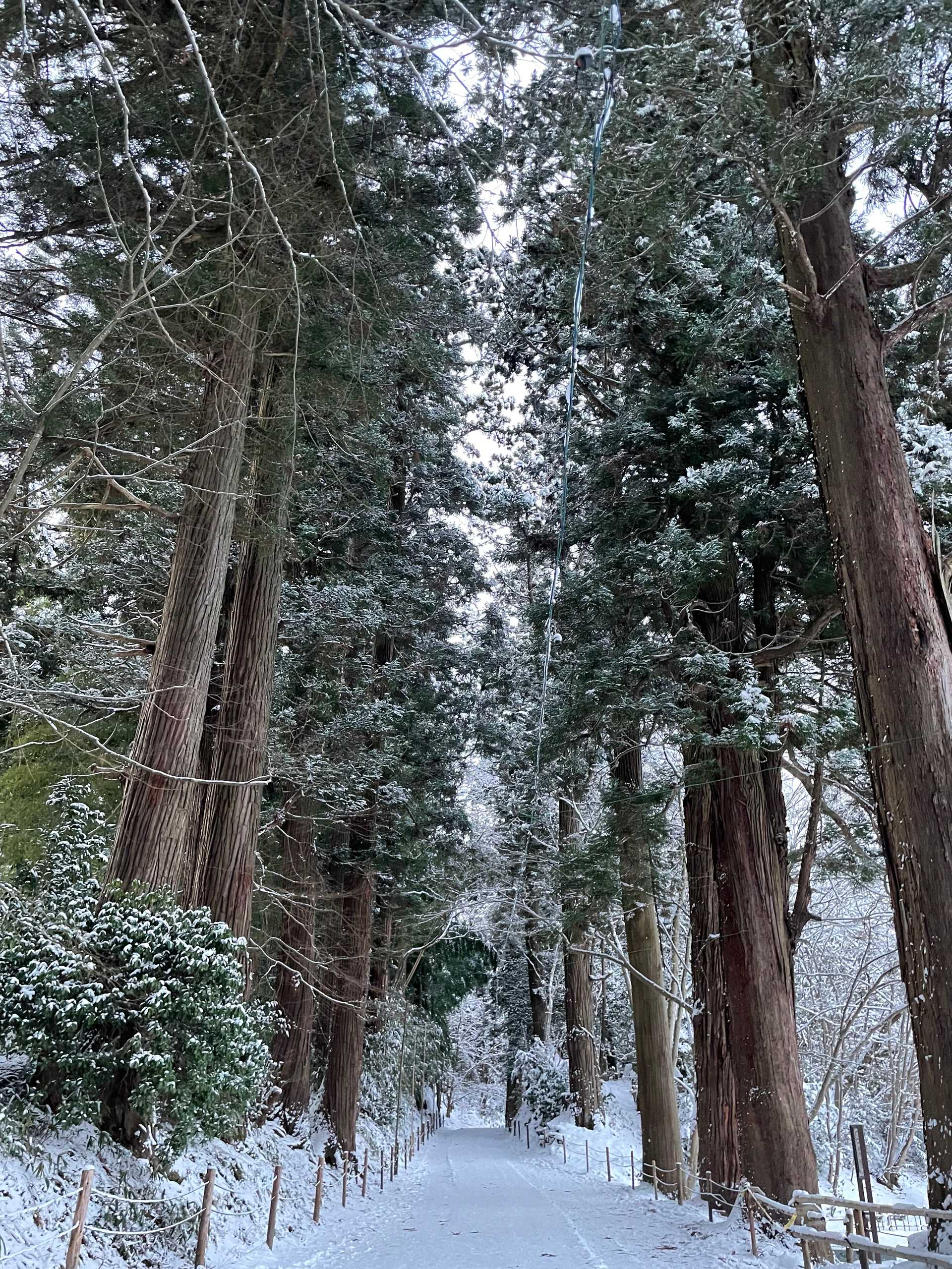 Winter in Japan